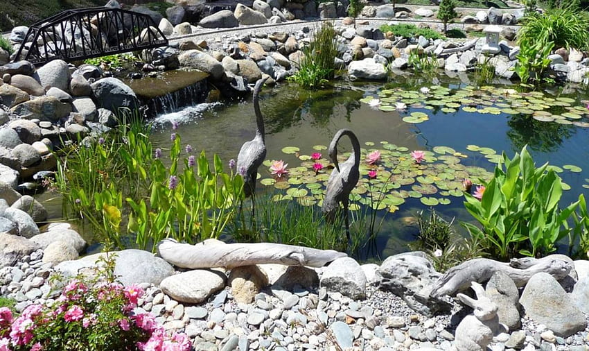 Serene Garden Pond, bird statues, waterfall, flowers, rocks, waterlily, pond HD wallpaper