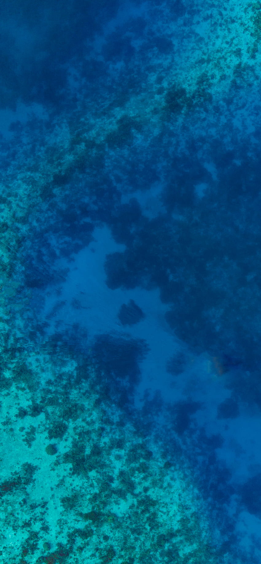 Океан, океанско дъно iPhone HD тапет за телефон