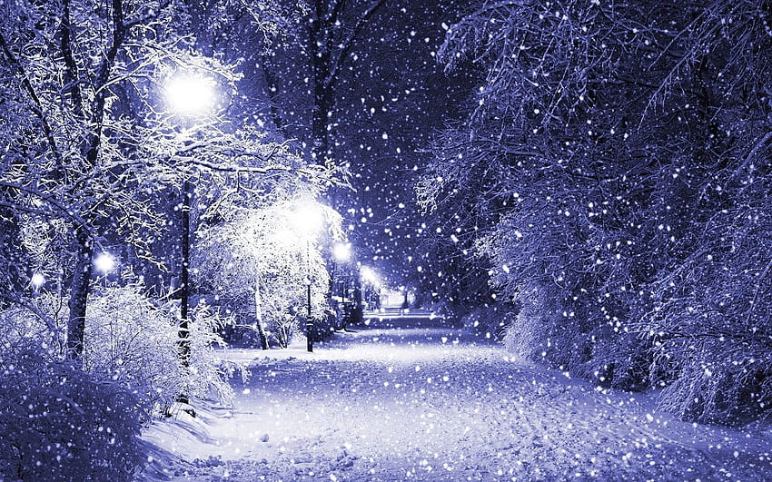 Schnee, Schneelandschaft HD-Hintergrundbild
