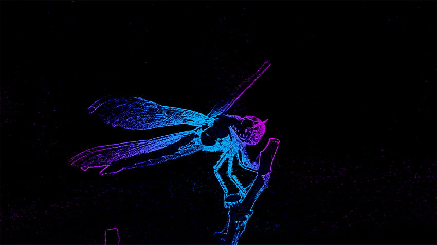 Dragonfly [] :, Purple Dragonfly HD wallpaper