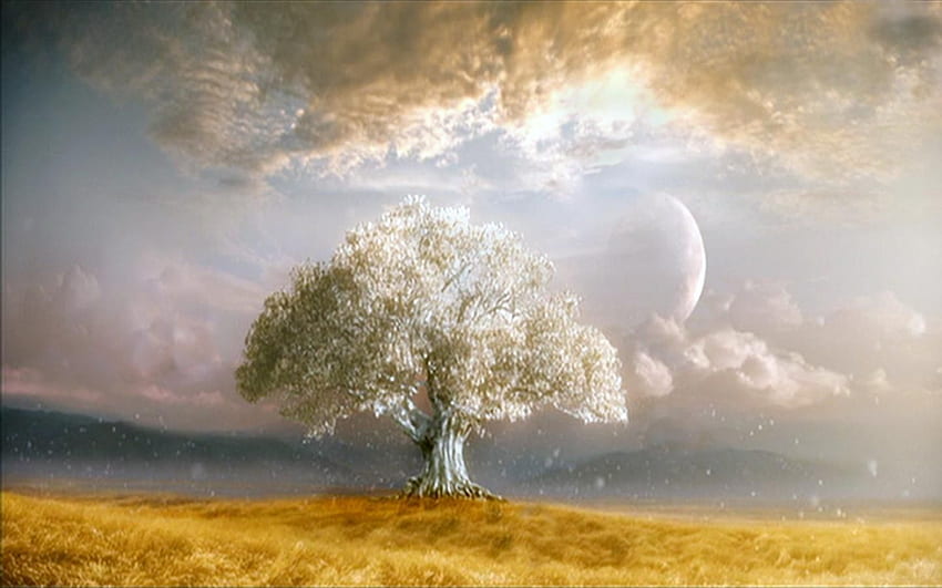 дървото на живота - Árbol de la vida céltico, Arbol de la vida, Imágenes bellas, Дървото на живота HD тапет