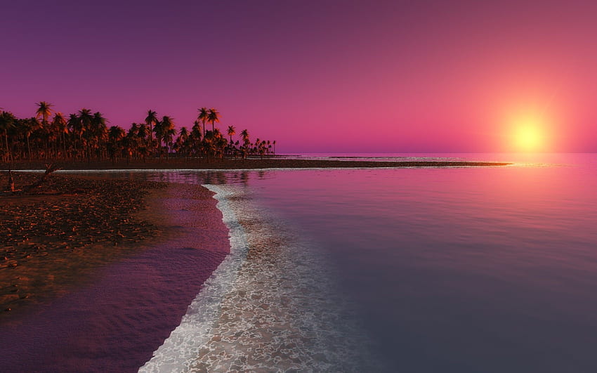 Różowy zachód słońca na plaży -, różowy zachód słońca na plaży w tle na nietoperzu, różowy laptop na plaży Tapeta HD