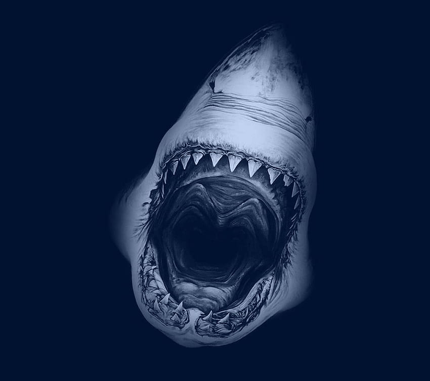 Ataque de tiburón fondo de pantalla