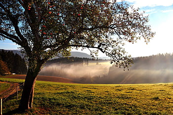 Với hình nền End of Summer background HD, bạn sẽ cảm nhận được không khí tĩnh lặng của mùa thu, giúp bạn thư giãn sau một mùa hè vui tươi.