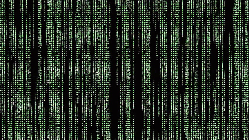 Deszcz Matrix w całości, cyfrowy deszcz Tapeta HD
