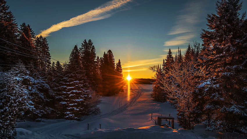 Sinar matahari pertama, salju, musim dingin, warna, pohon, langit, matahari, hutan Wallpaper HD