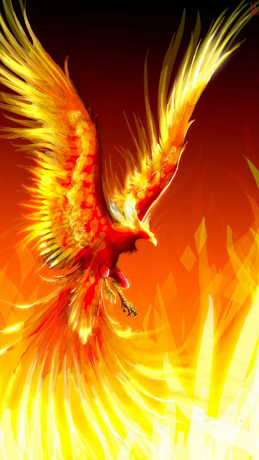 Phoenix Bird Background For Android - 2019 Android HD phone ...
