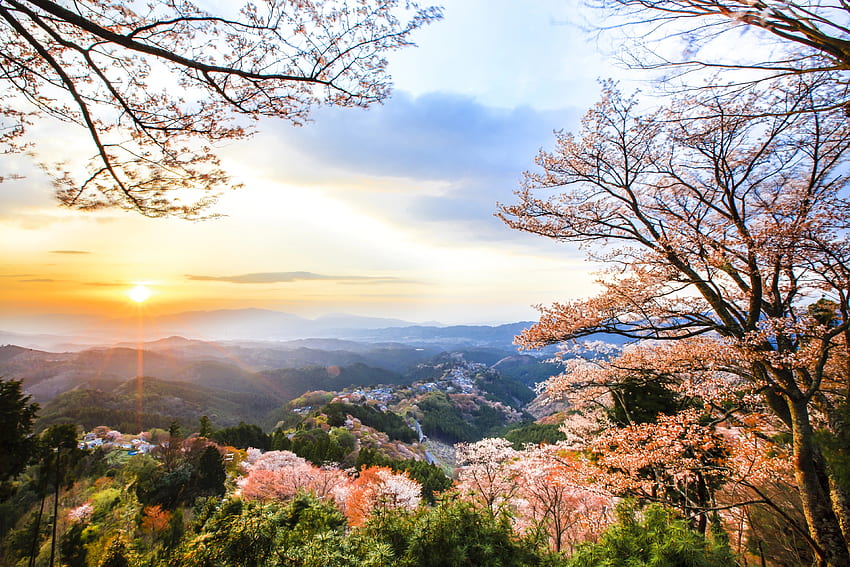 Frühlingssonnenuntergang über dem Berg Yoshino in der Präfektur Nara in Japan, Japanisch, Japan, Landschaft, goldene Stunde, Frühling, Yoshino, Rosa, Sakura, Bäume, Wolken, Himmel, Natur, Berge, Sonnenuntergang HD-Hintergrundbild