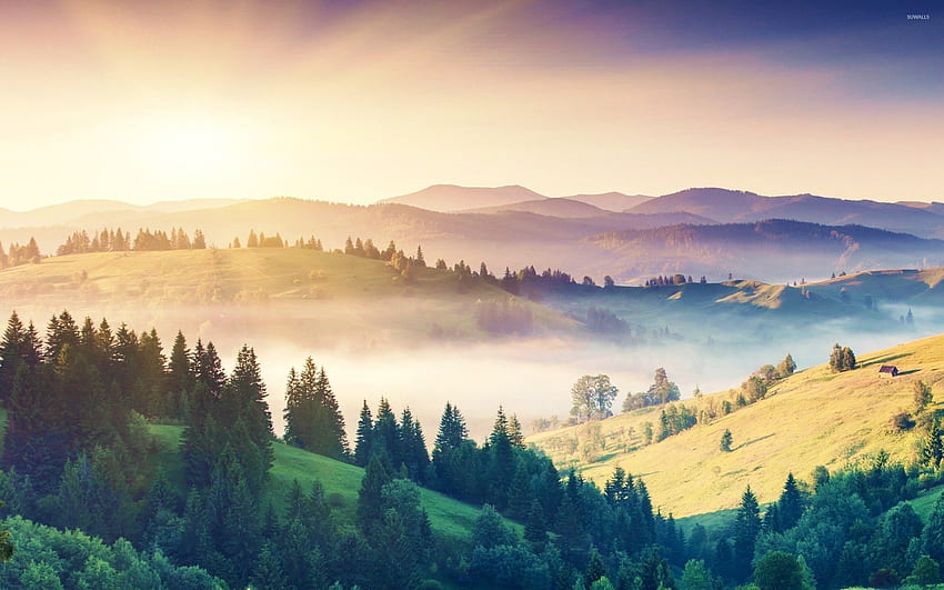 Misty morning in the hills HD wallpaper