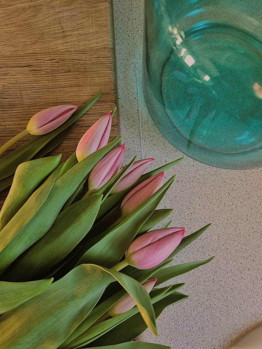 Świeże kwiaty, wiosna, różowy, zielony, niebieski, świeże_tulipany, tulipany, natura, pinterest, wazon Tapeta na telefon HD