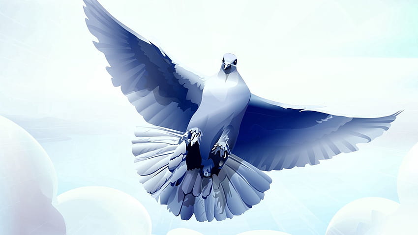 ขนนก เวกเตอร์ นก เที่ยวบิน คลื่น นกพิราบ กวาด วอลล์เปเปอร์ HD
