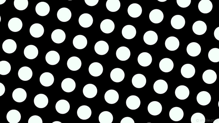 Black White Polka Dot Border ✓ The Best, Black and White Polka Dots HD wallpaper