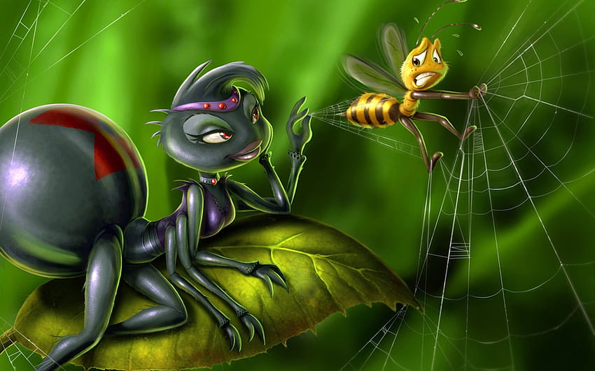 Serangga, Laba-laba Wallpaper HD