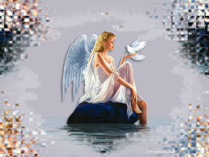 she holds peace, wings, angel, abstract, dove HD wallpaper