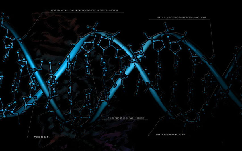 ADN Edna Incredibles, Droid DNA y Midna, Science DNA fondo de pantalla