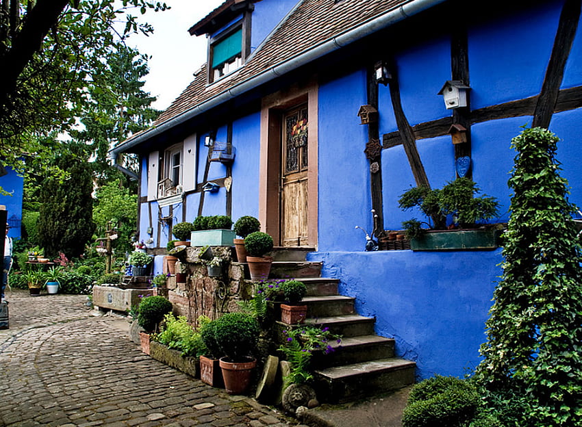 maison bleue, bleu, pots de fleurs, maison, étapes, belle, nature, fleurs Fond d'écran HD