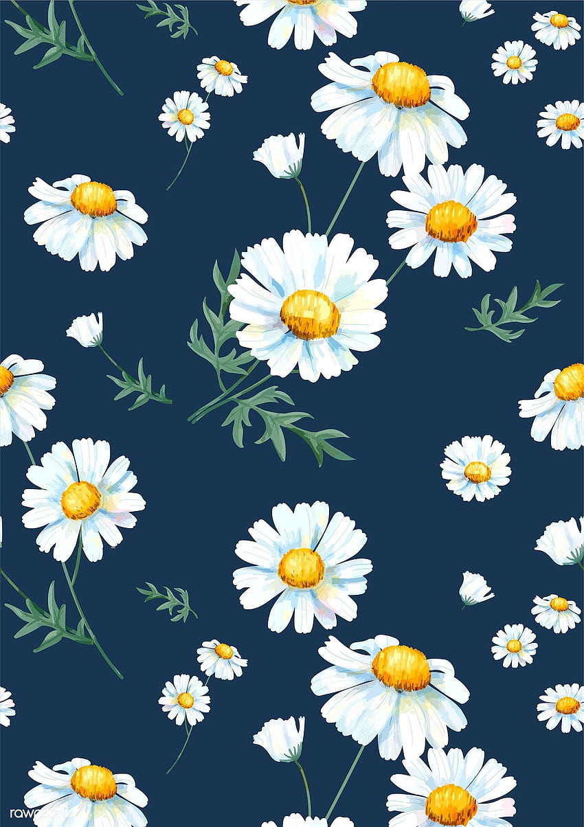 premium vector of Hand drawn white common daisy pattern, Vintage Daisy HD phone wallpaper