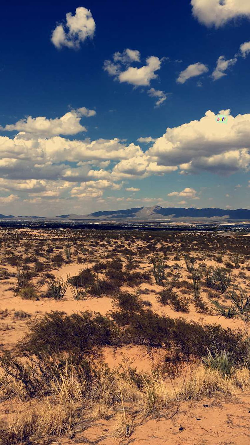 砂漠の真ん中 [750 x 1334]。 iPhone6/6S HD電話の壁紙