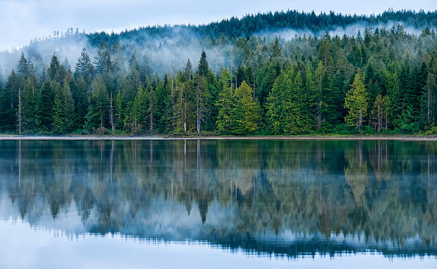 Canada Morton British Columbia Nature Lake Forests, 2600x1600 HD wallpaper