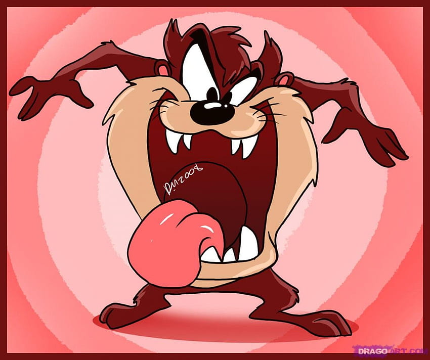 Tasmanian Devil Cartoon Network - HD wallpaper