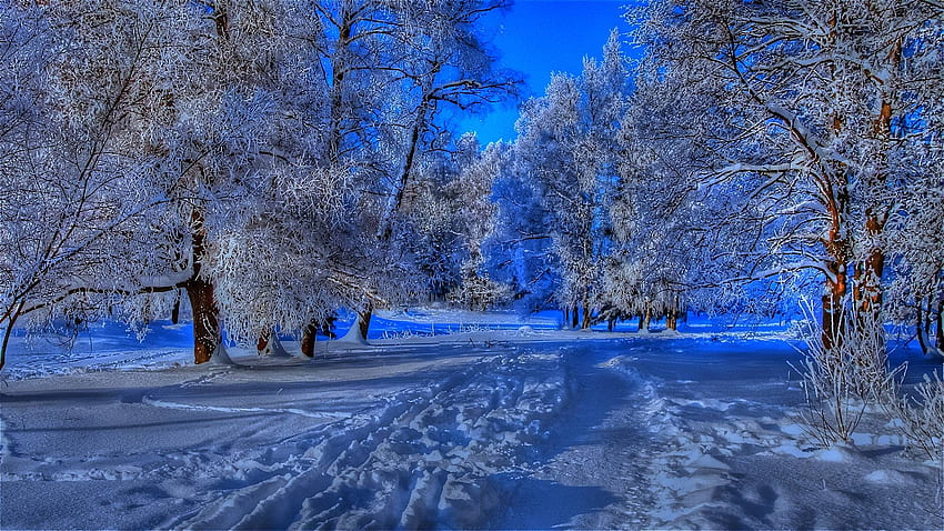 Winter Wallpapers Full HD Group 1920×1080 Winter Screen Wallpapers