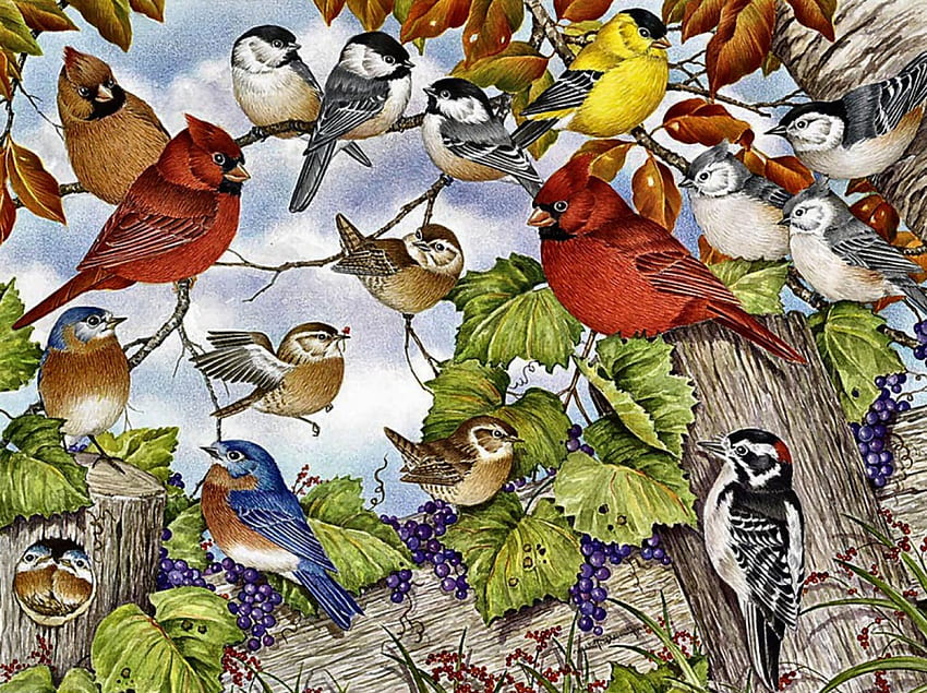 Plethora of Songbirds F1, animal, bird, Wrens, art, Cardinals, Nuthatch, avian, artwork, wide screen, Bluebirds, wildlife, painting, Chicakdees, Downy Woodpecker, Goldfinches, Tufted Titmouses HD wallpaper