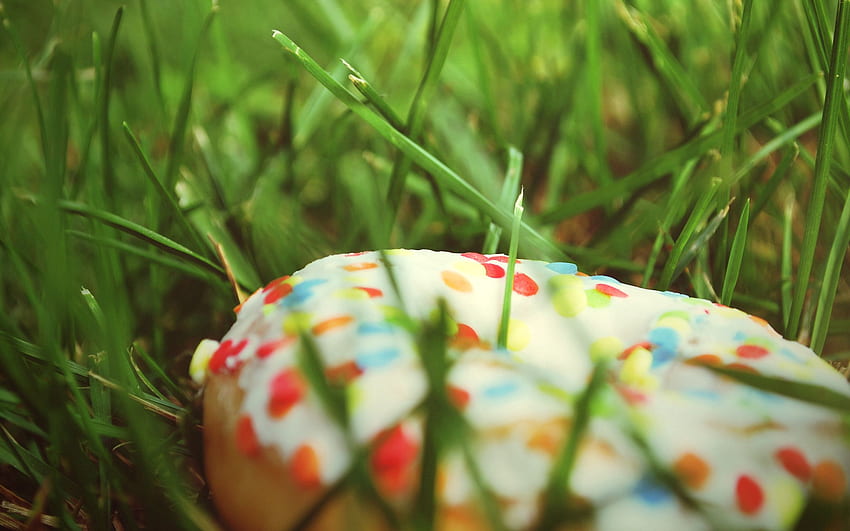 잔디, 매크로, 여러 가지 빛깔의, 가지각색의, 도넛, 도넛, 뿌리기 HD 월페이퍼