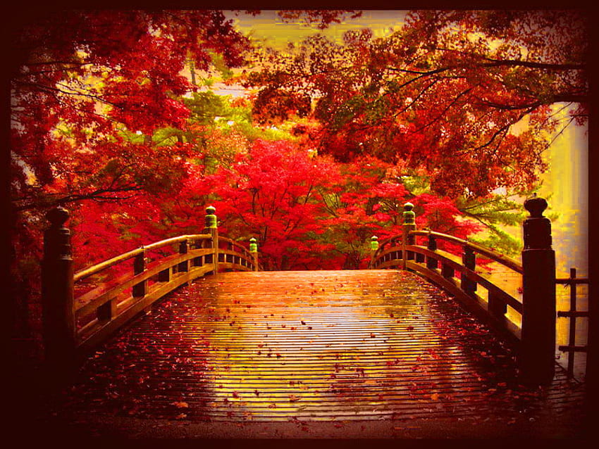 Autumn nostalgia, leaves, fall, red, nostalgia, trees, bridge, autumn ...