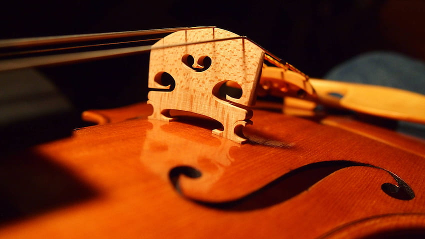 Fiddle YouBioitcom [] for your , Mobile & Tablet. Explore Fiddle . Fiddle HD wallpaper