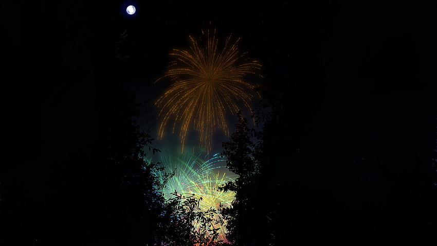 Art, Night, Salute, Dark, Fireworks, Firework HD wallpaper