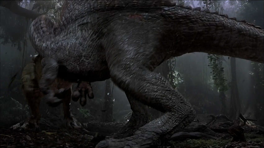 Jurassic Park 3 Velociraptor Wallpaper HD