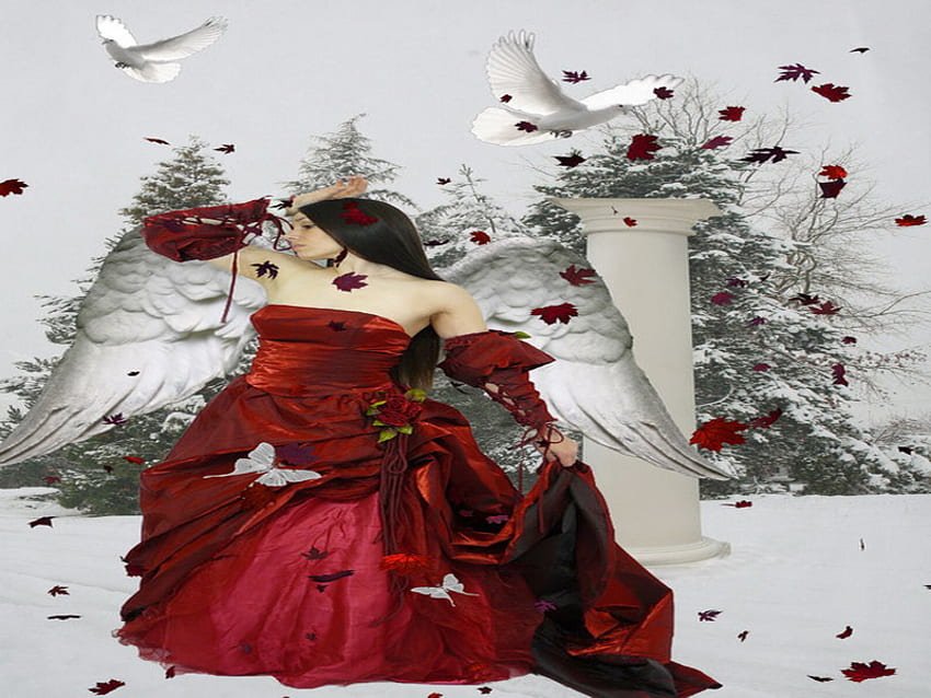 angel, winter, dove, red HD wallpaper