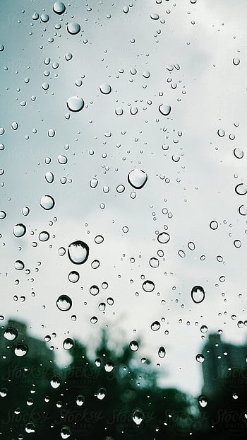 water drop notch wallpaper apk download for android