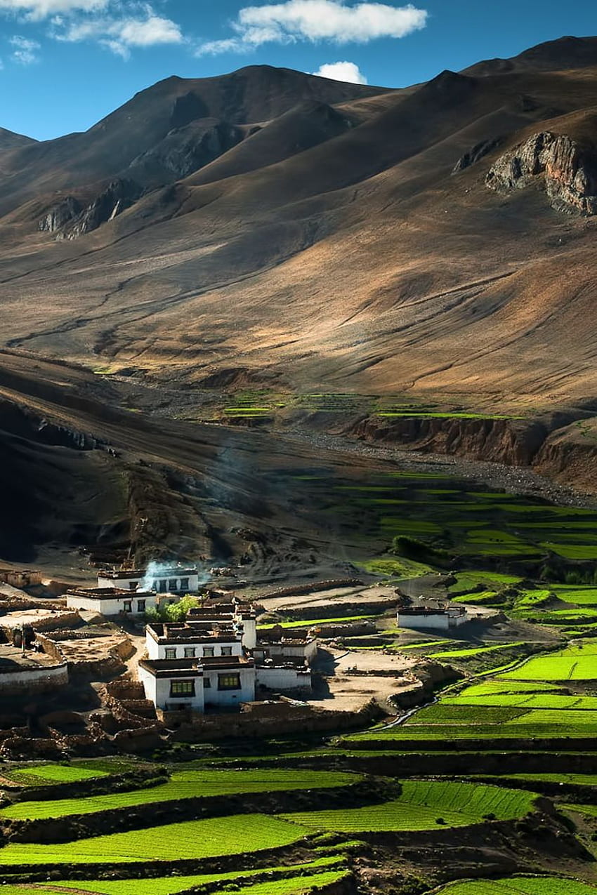 china, tibet, himalayas, fields, Tibet Himalayan HD phone wallpaper