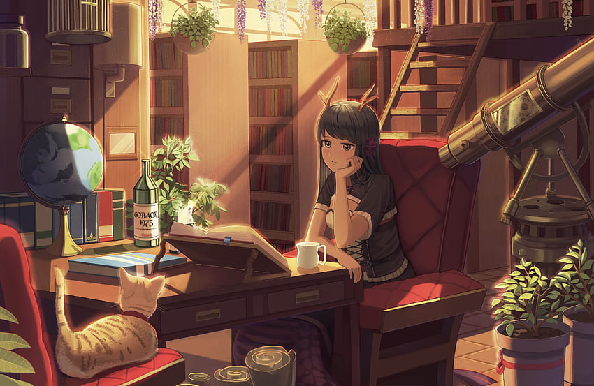 Anime Girl, Horns, Neko, Room, Books, Studying HD wallpaper