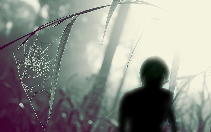 Spider Man Web Of Shadows . Spider Web , Spider Web Background And Scary Spider Web, Shadow Anime HD wallpaper