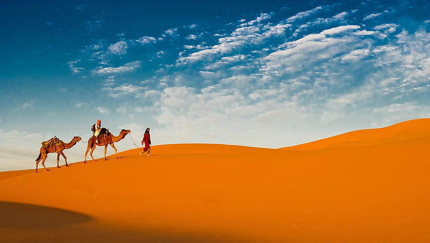 Caravan, Desert Camel HD wallpaper