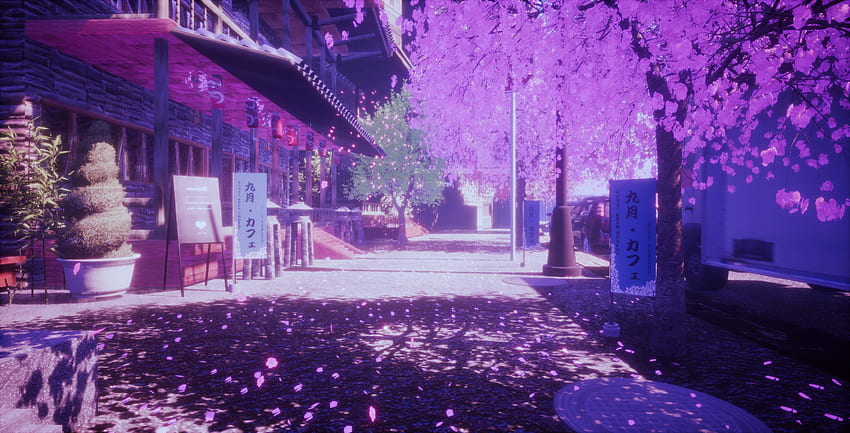 pour le thème: fleur de Sakura, arrière-plan, anime japonais Sakura Fond d'écran HD