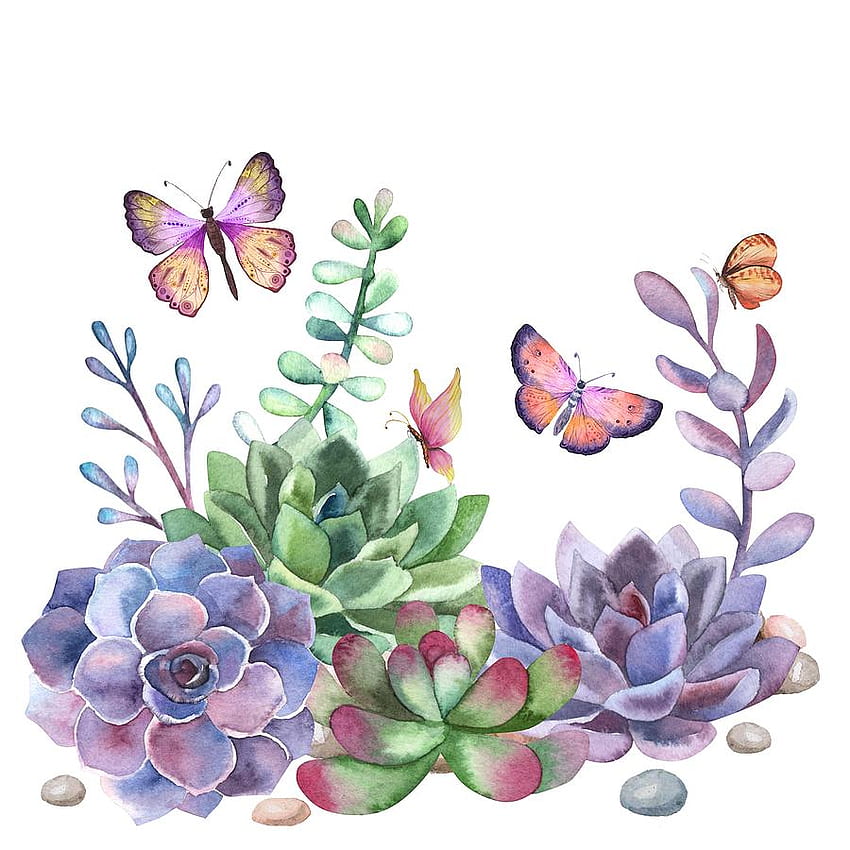 A Splendid Secret Succulent Garden With Butterfly Visitors Painting by Little Bunny Sunshine, Watercolor Succulent HD phone wallpaper