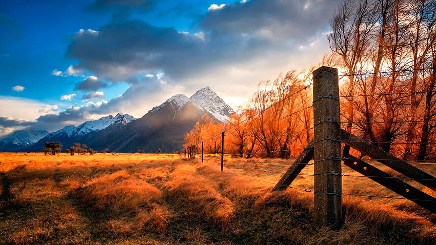 秋の日の出のそよ風、ニュージーランド、秋、雲、木、色、風景、空、山、丘、フェンス、フィールド 高画質の壁紙