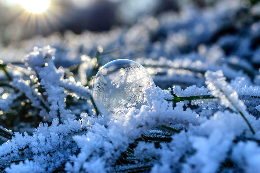 Snow, Macro, Ball, Frost, Hoarfrost, Bubble HD wallpaper