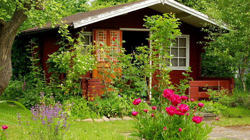 forest flowers summer house cottage, , Summer house in the wood HD wallpaper