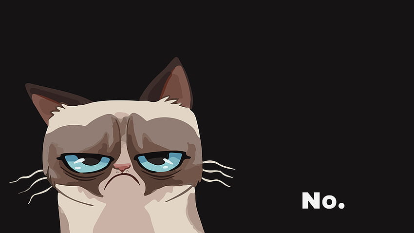 Cartoon Cat - Grumpy Cat - - teahub.io, Cartoon Cat Computer HD тапет