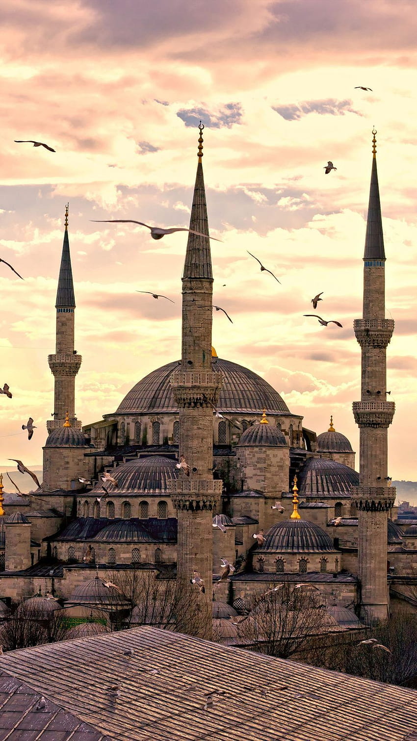 터키 이스탄불 술탄아흐멧 모스크. 블루 모스크 이스탄불 HD 전화 배경 화면