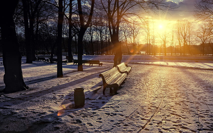 Städte, Winter, Sonnenuntergang, Schnee, Park, Bank, Lichter einer Sonne, Sonnenstrahlen HD-Hintergrundbild