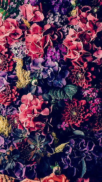 Adidas flowers wallpaper best sale