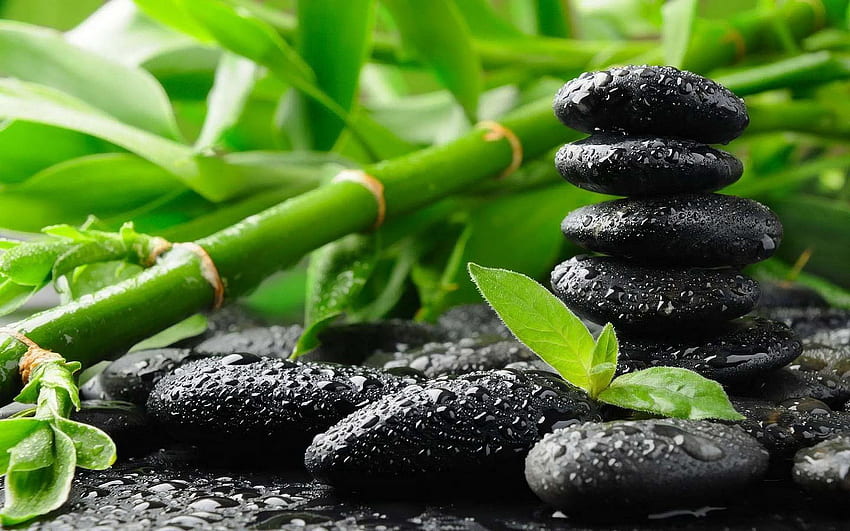 Schwarze Steine ​​und Bambus. Zen, große Leinwandwandkunst, Feng Shui HD-Hintergrundbild