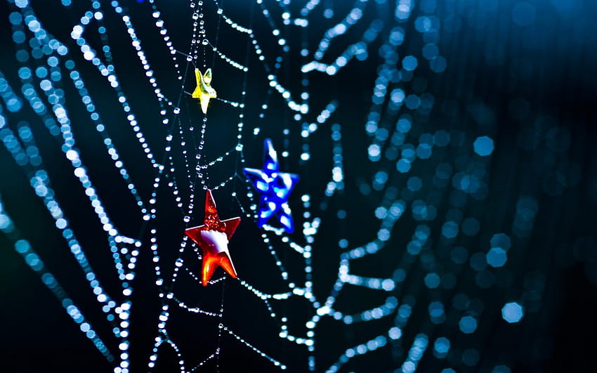 Stars and spider's web, blue, black, rain, glitter, drops, spider, stars, yellow, red, web, water HD wallpaper