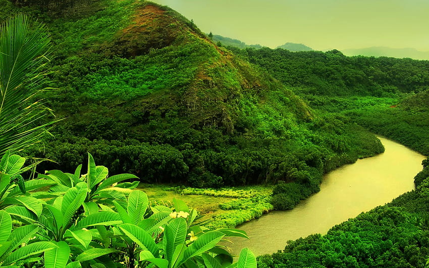 Best Landscape : Cool Jungle 776107 Landscape HD wallpaper