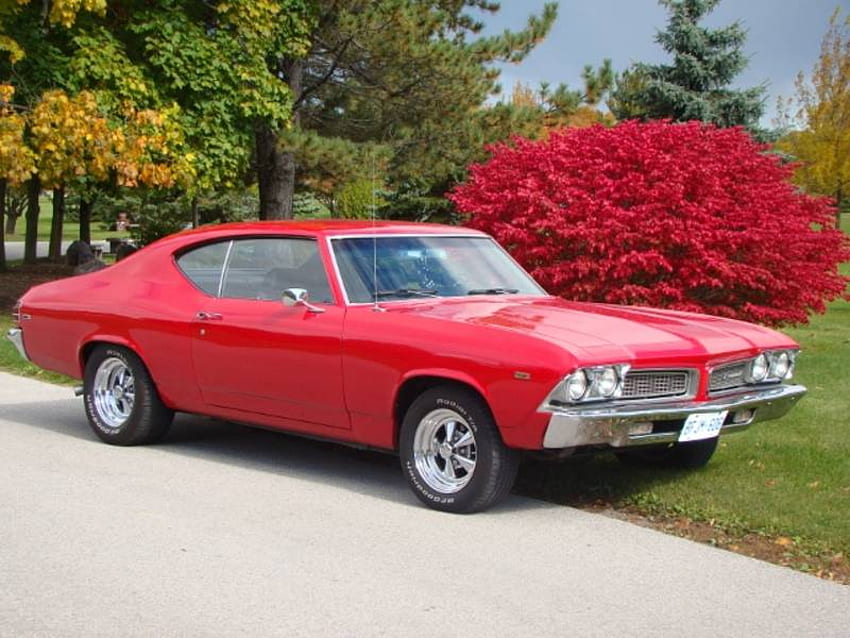 1969 Pontiac Beaumont, pontiac, classic, gm, red, beaumont, muscle car, 1969 HD wallpaper